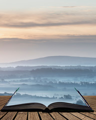 Une biographie symbolisée par les paysages parcourus par le narrateur ou la narratrice au cours de sa vie.